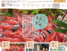 Tablet Screenshot of itoigawa-onsen.com